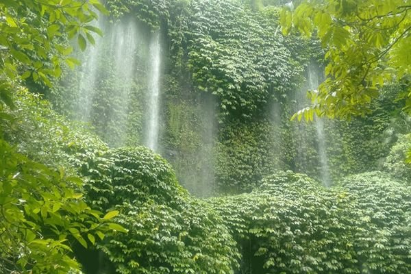 Benang Kelambu waterfall soft trekking tour