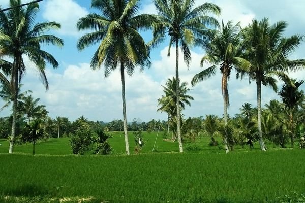 Lombok countryside landscape photography for cruise passengers