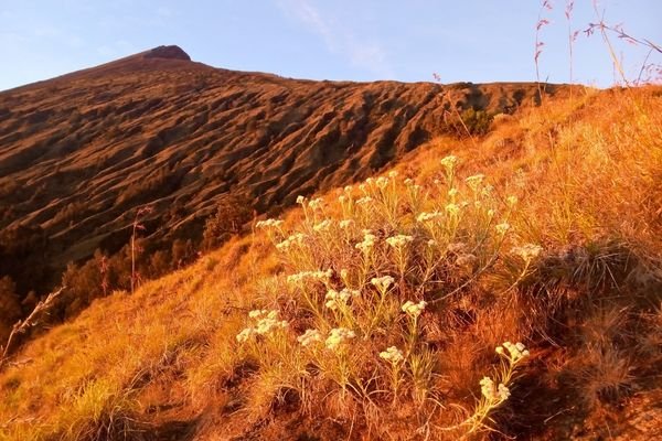 rinjani trekking price