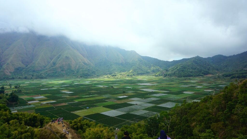 Sembalun Valley