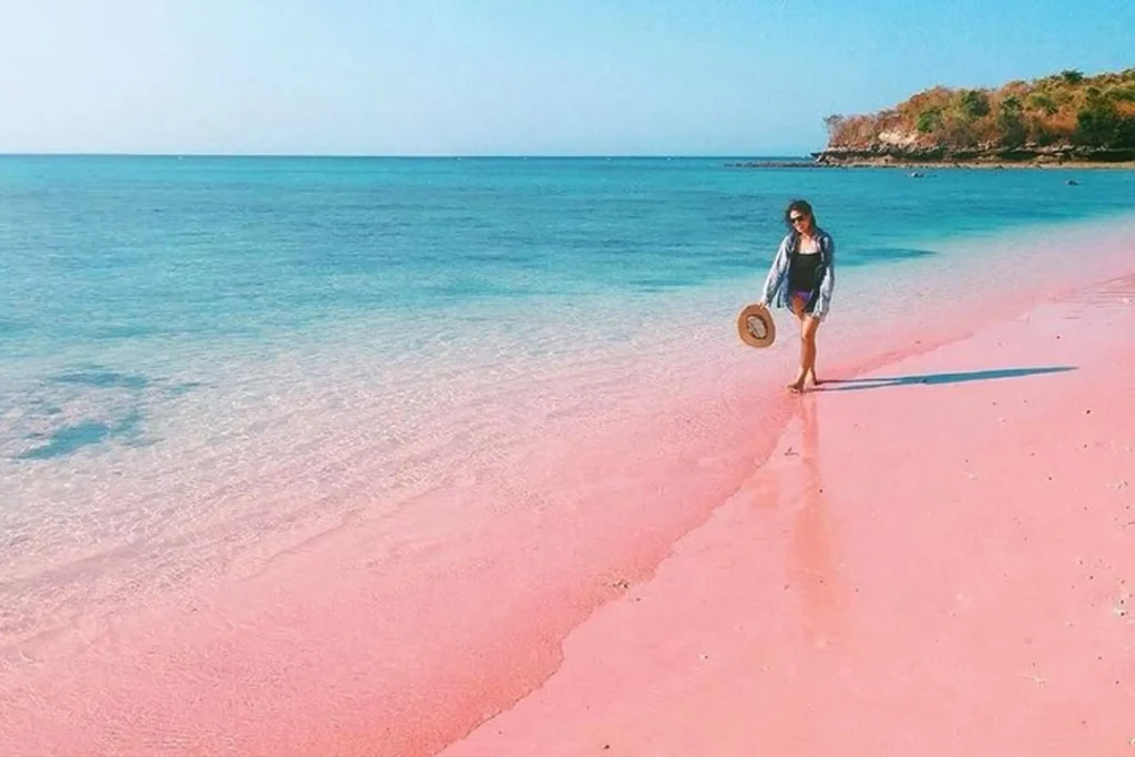 how to get to Pink Beach Lombok