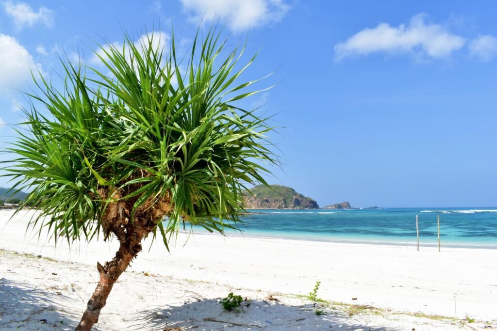 Tanjung Aan Beach Lombok