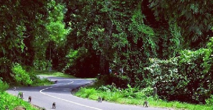 Pergasingan Hill