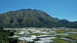 Sembalun viewpoint