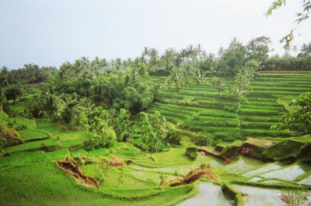 Tetebatu Village