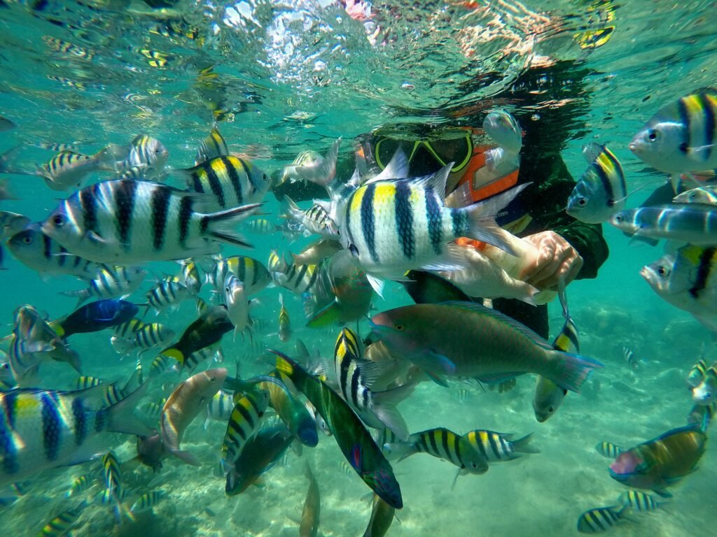 Gili Kondo snorkeling trip