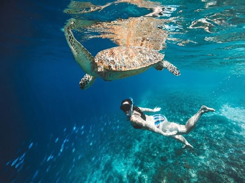 Gili Kondo snorkeling