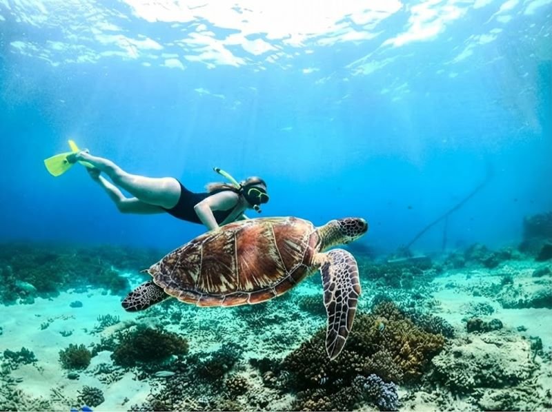 Lombok Snorkeling Trip Good for First Timers