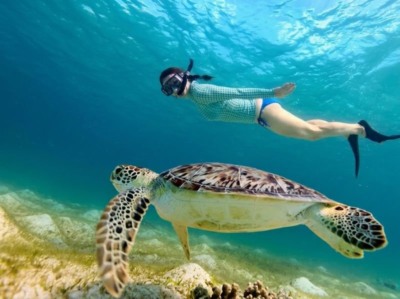 Lombok snorkeling
