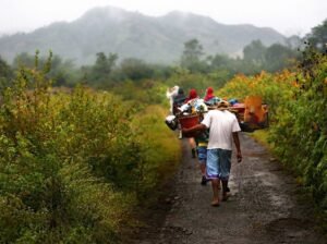 Rinjani porter service guided trip