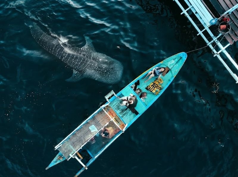 Saleh Bay snorkeling responsible tourism
