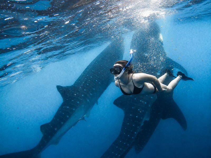 Saleh Bay snorkeling responsible tourism