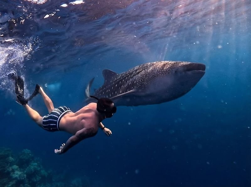 Saleh Bay snorkeling responsible tourism