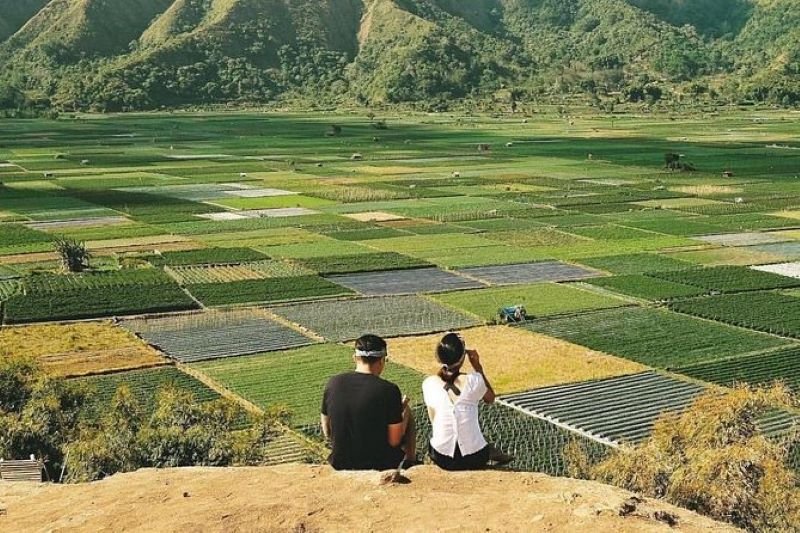Sembalun for couples private tour