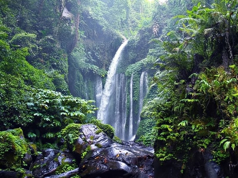Senaru waterfall day trip
