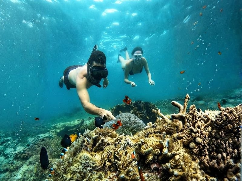 private day of Lombok snorkeling