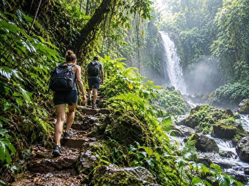 Waterfall forest path on a two day Lombok trip