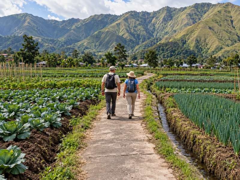 Tourists walking beside vegetable plots in Sembalun valley